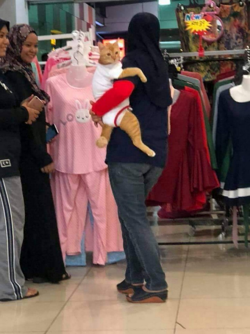 �������, ���������� � �������� ����