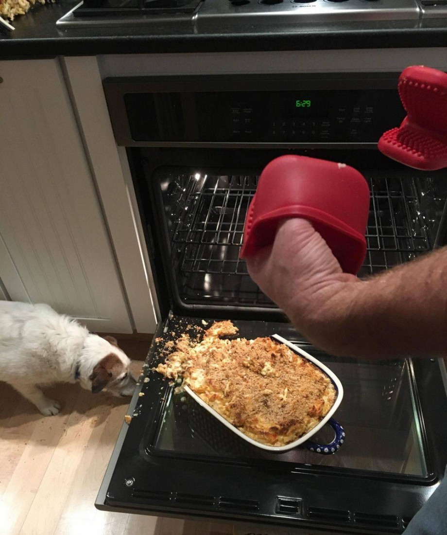 �������, ���������� � �������� ����