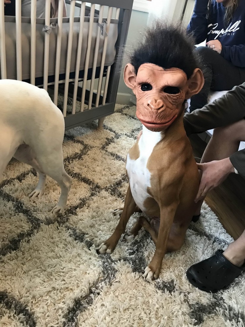 �������, ���������� � �������� ����