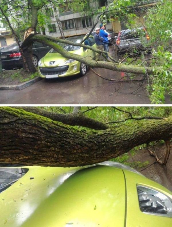 �������, ���������� � �������� ����