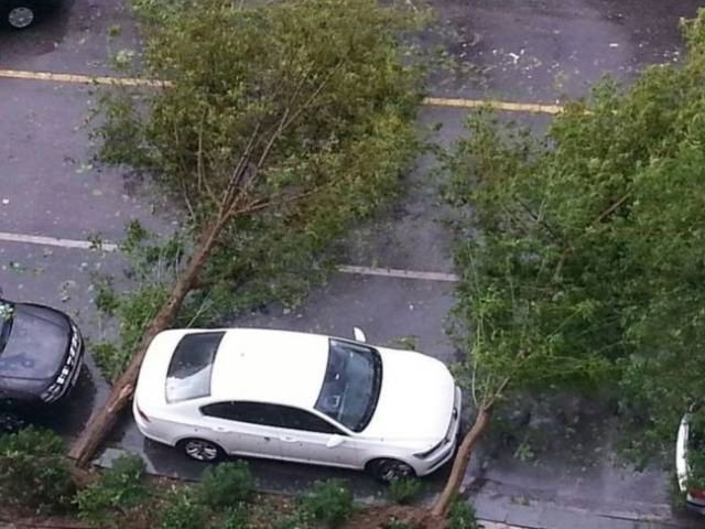 �������, ���������� � �������� ����