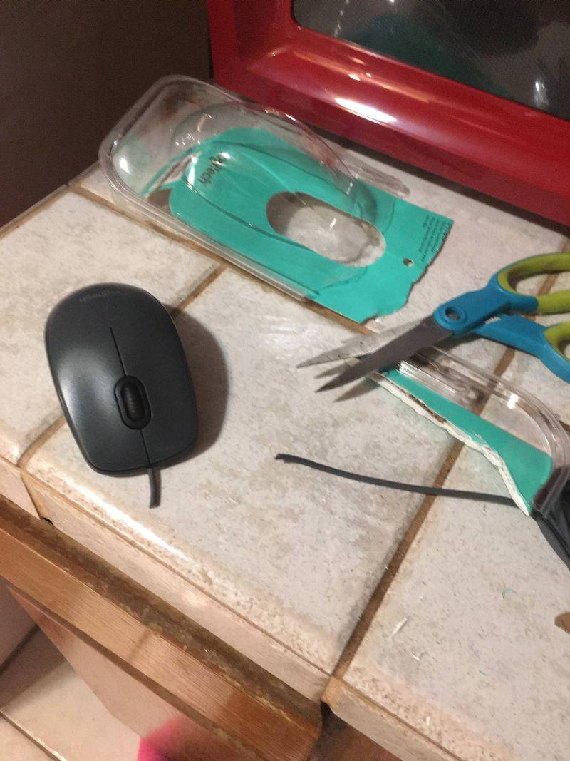 �������, ���������� � �������� ����