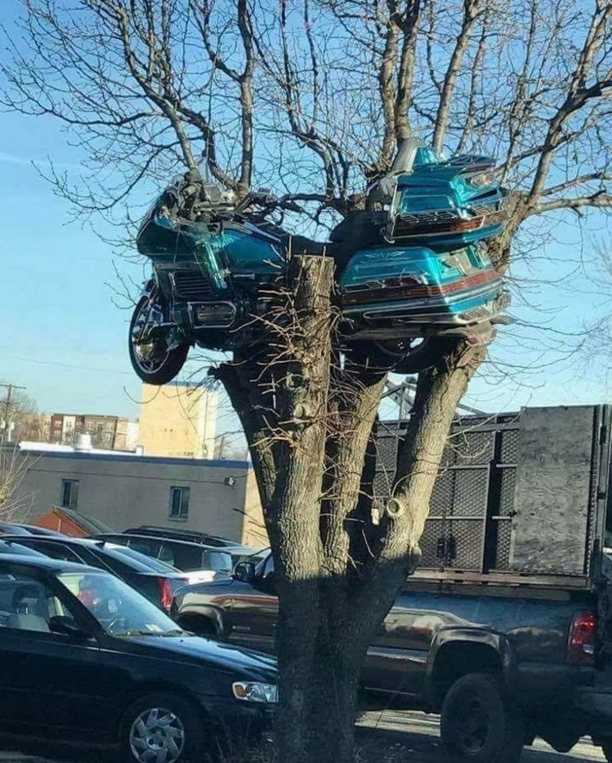 �������, ���������� � �������� ����