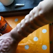 �������, ���������� � �������� ����