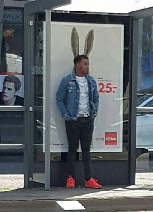 �������, ���������� � �������� ����