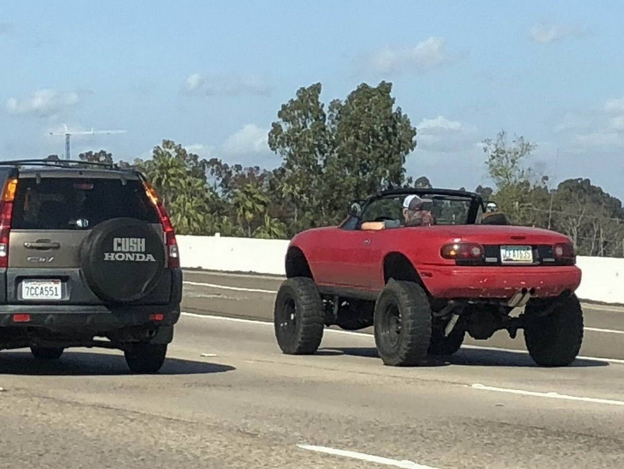 �������, ���������� � �������� ����
