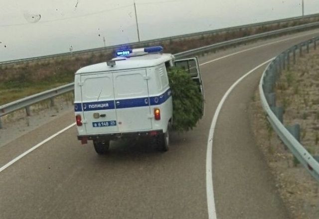 �������, ���������� � �������� ����