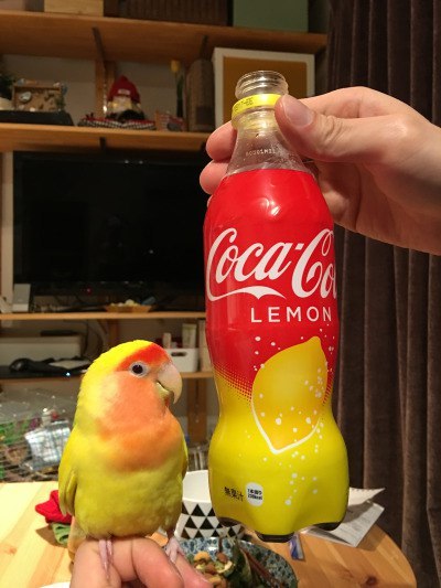 �������, ���������� � �������� ����
