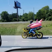 �������, ���������� � �������� ����