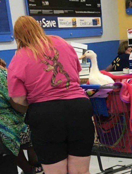 �������, ���������� � �������� ����