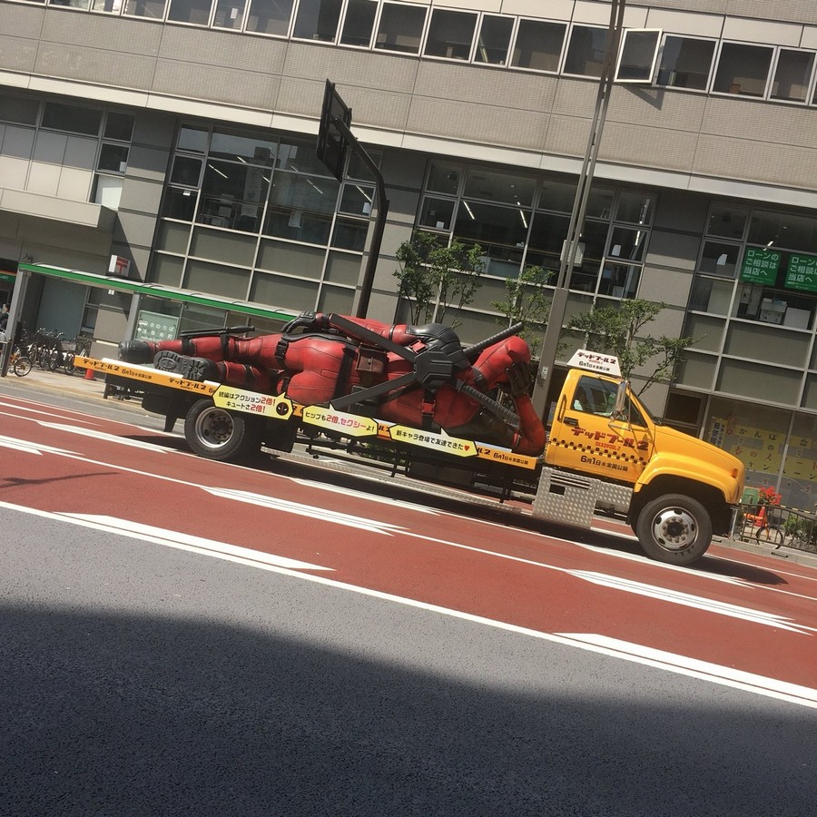 �������, ���������� � �������� ����