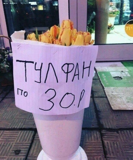 �������, ���������� � �������� ����
