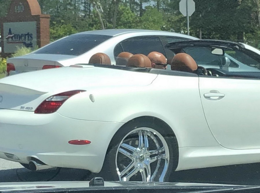 �������, ���������� � �������� ����