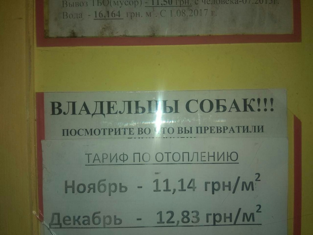 �������, ���������� � �������� ����