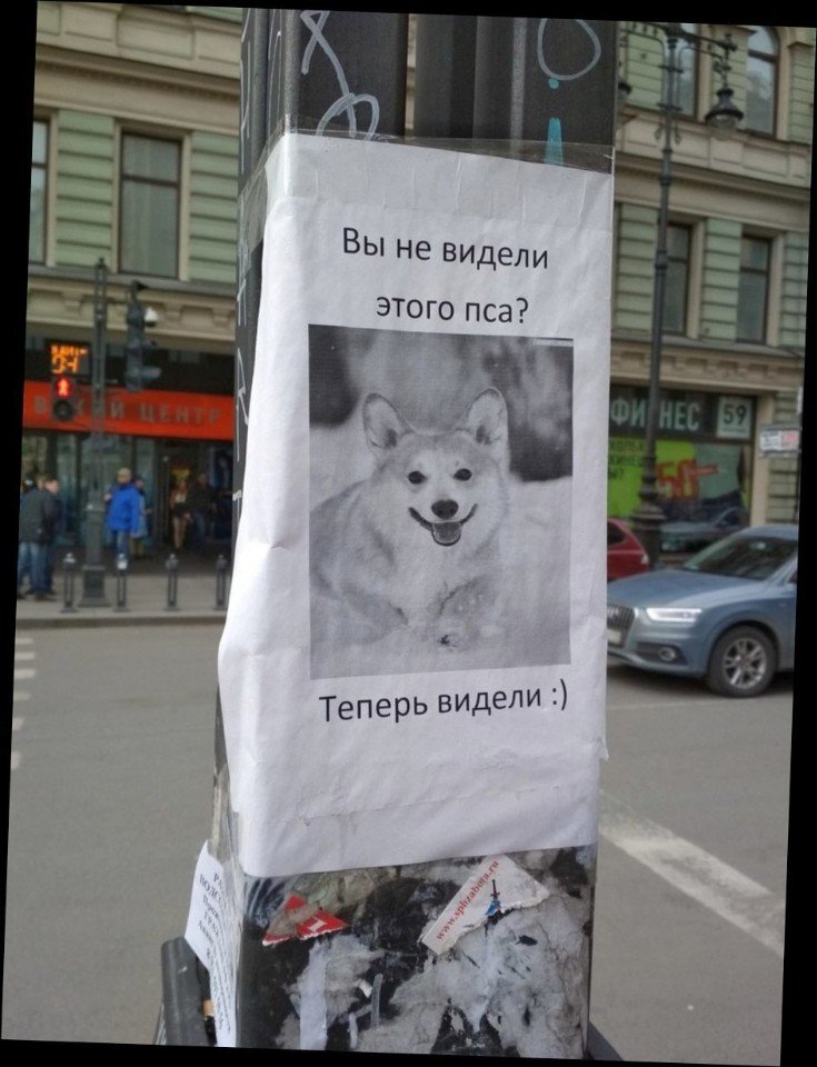 �������, ���������� � �������� ����