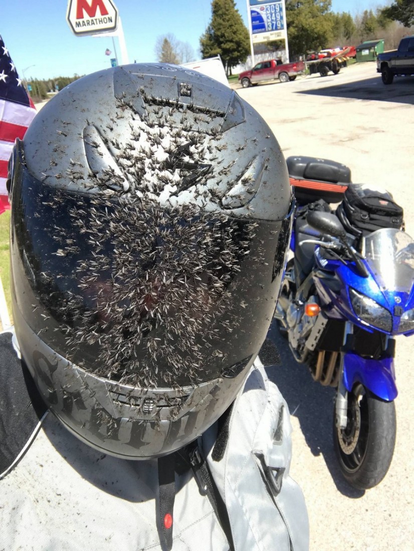 �������, ���������� � �������� ����