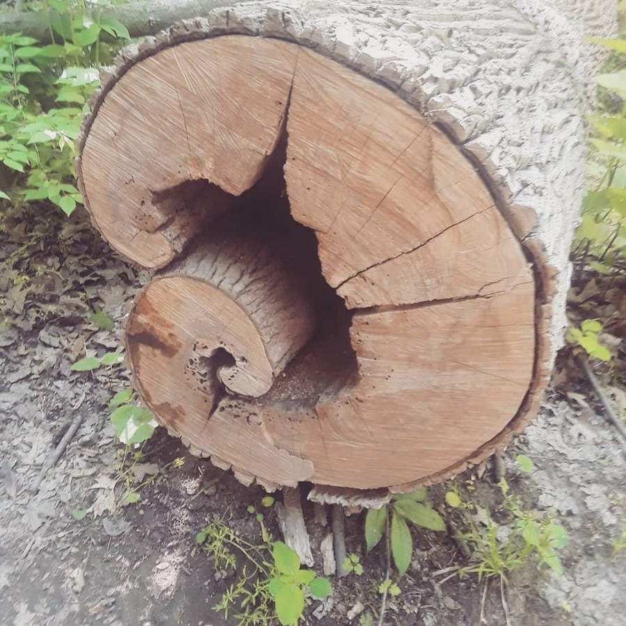 �������, ���������� � �������� ����