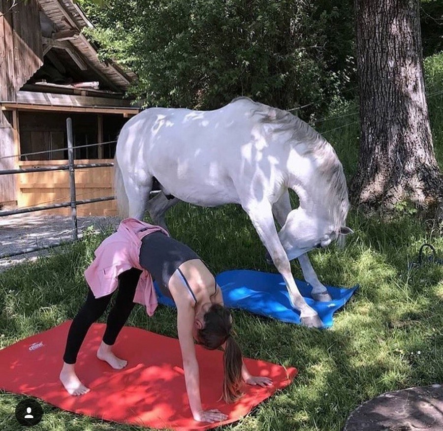 �������, ���������� � �������� ����