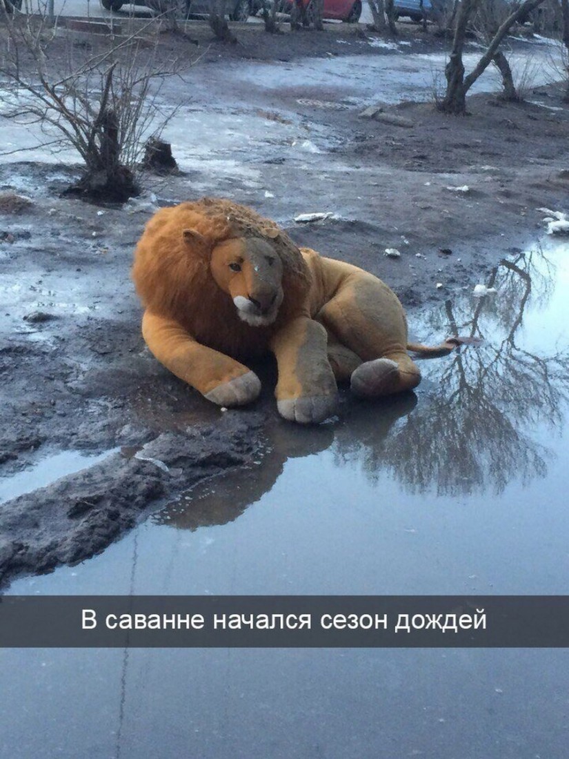 �������, ���������� � �������� ����