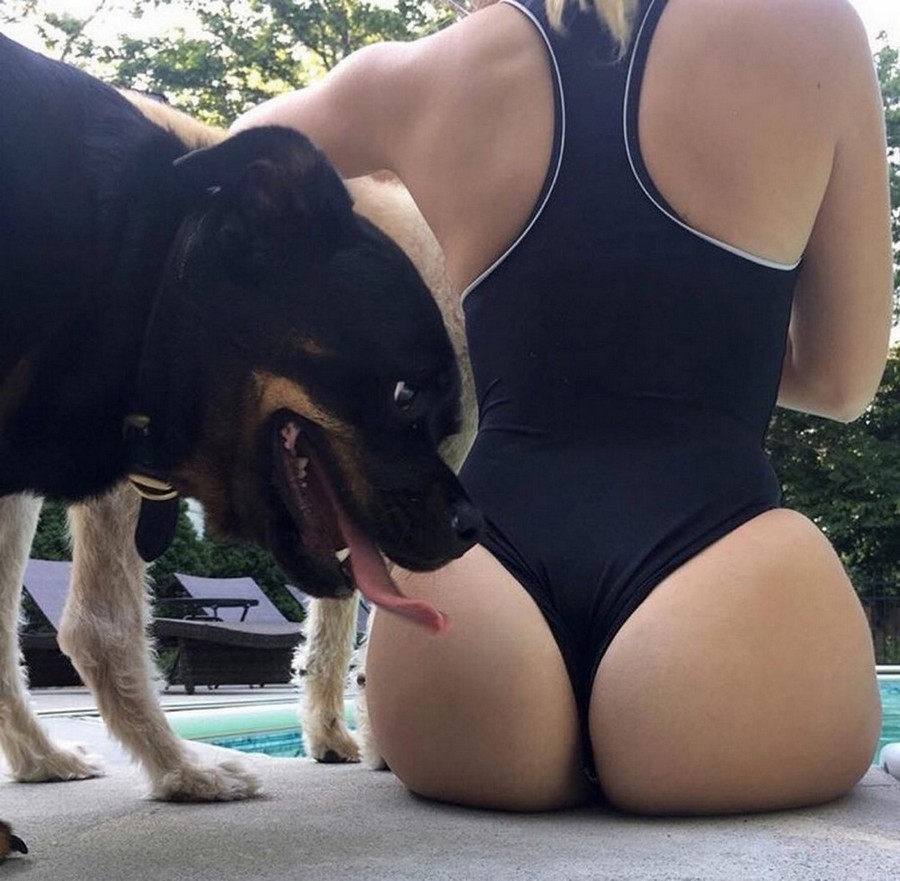 �������, ���������� � �������� ����