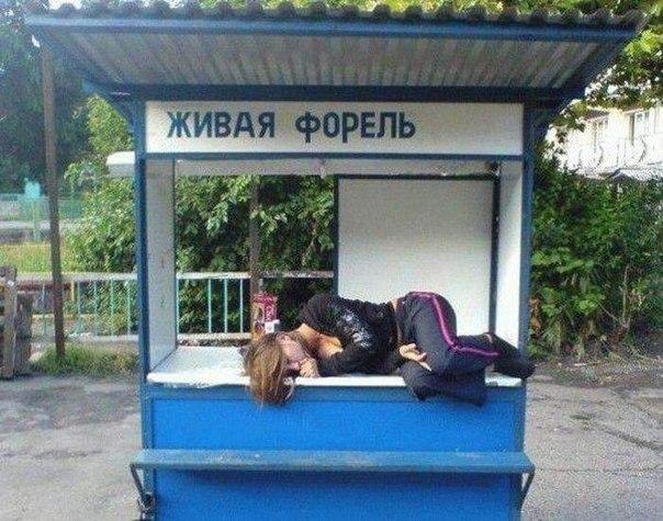 �������, ���������� � �������� ����