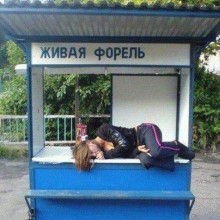 �������, ���������� � �������� ����