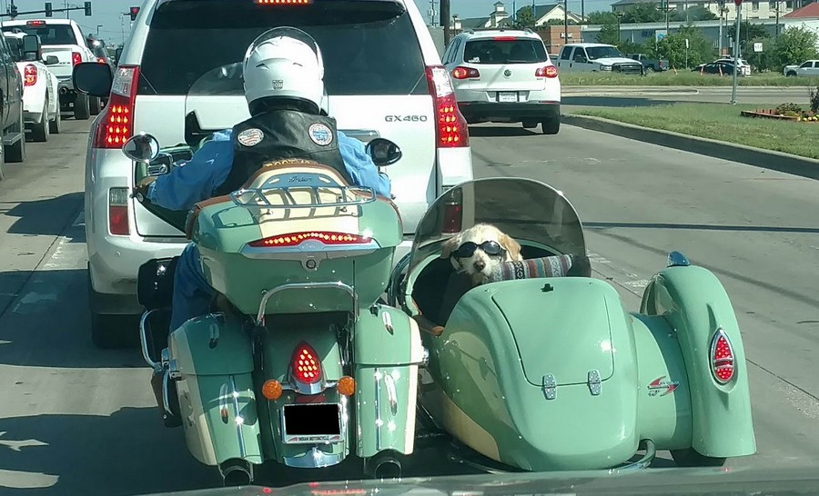 �������, ���������� � �������� ����