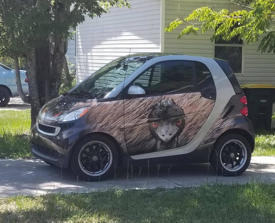 �������, ���������� � �������� ����