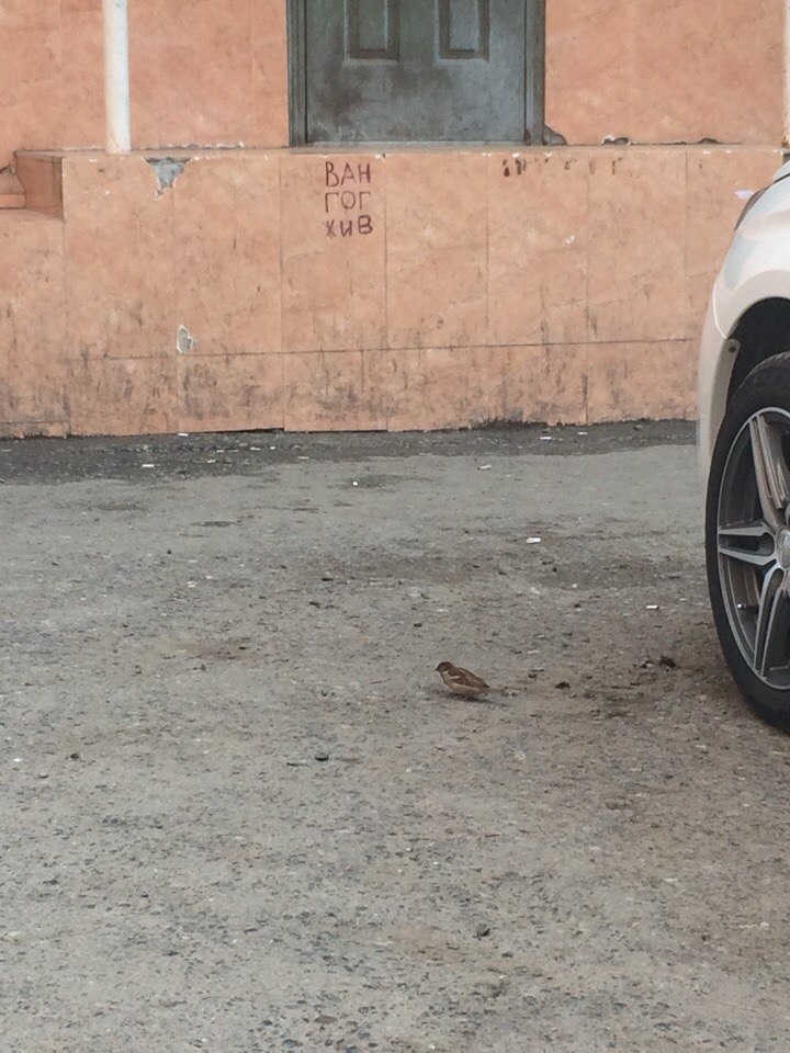 �������, ���������� � �������� ����