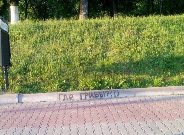 �������, ���������� � �������� ����