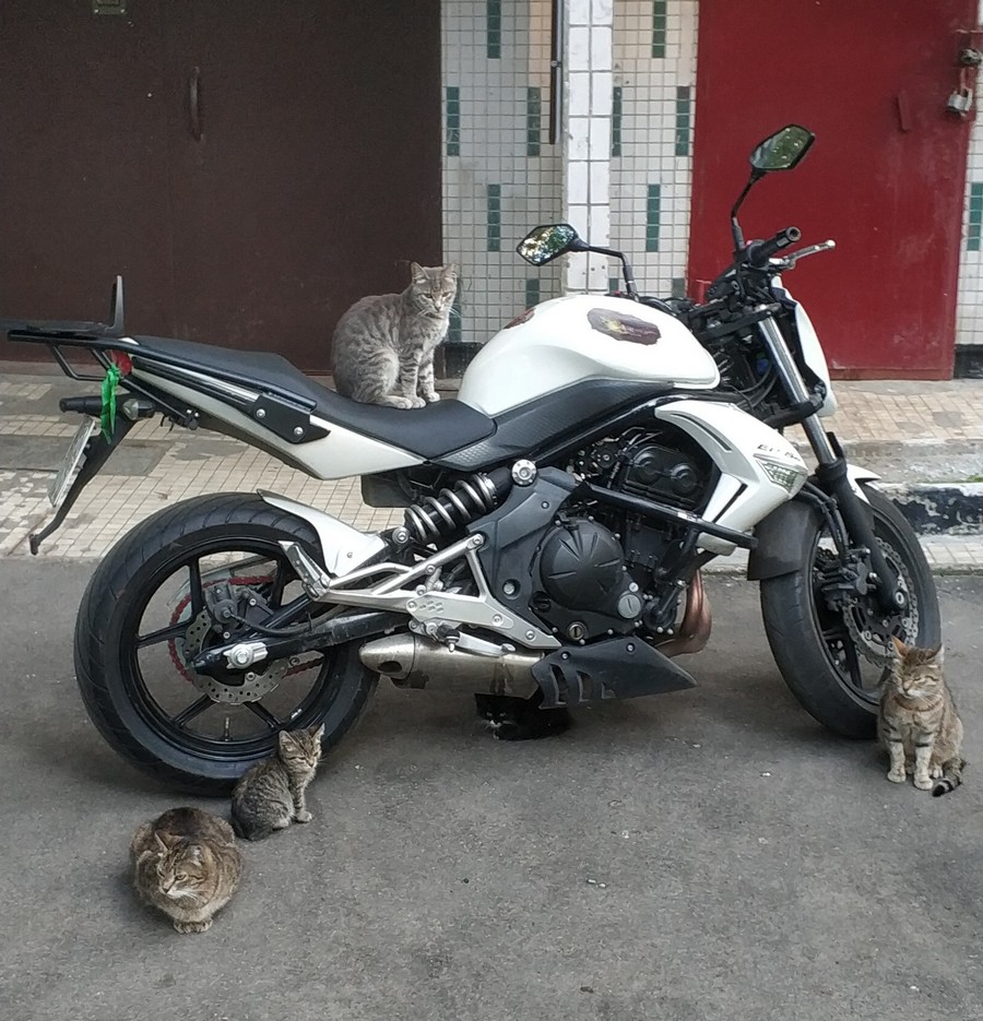 �������, ���������� � �������� ����