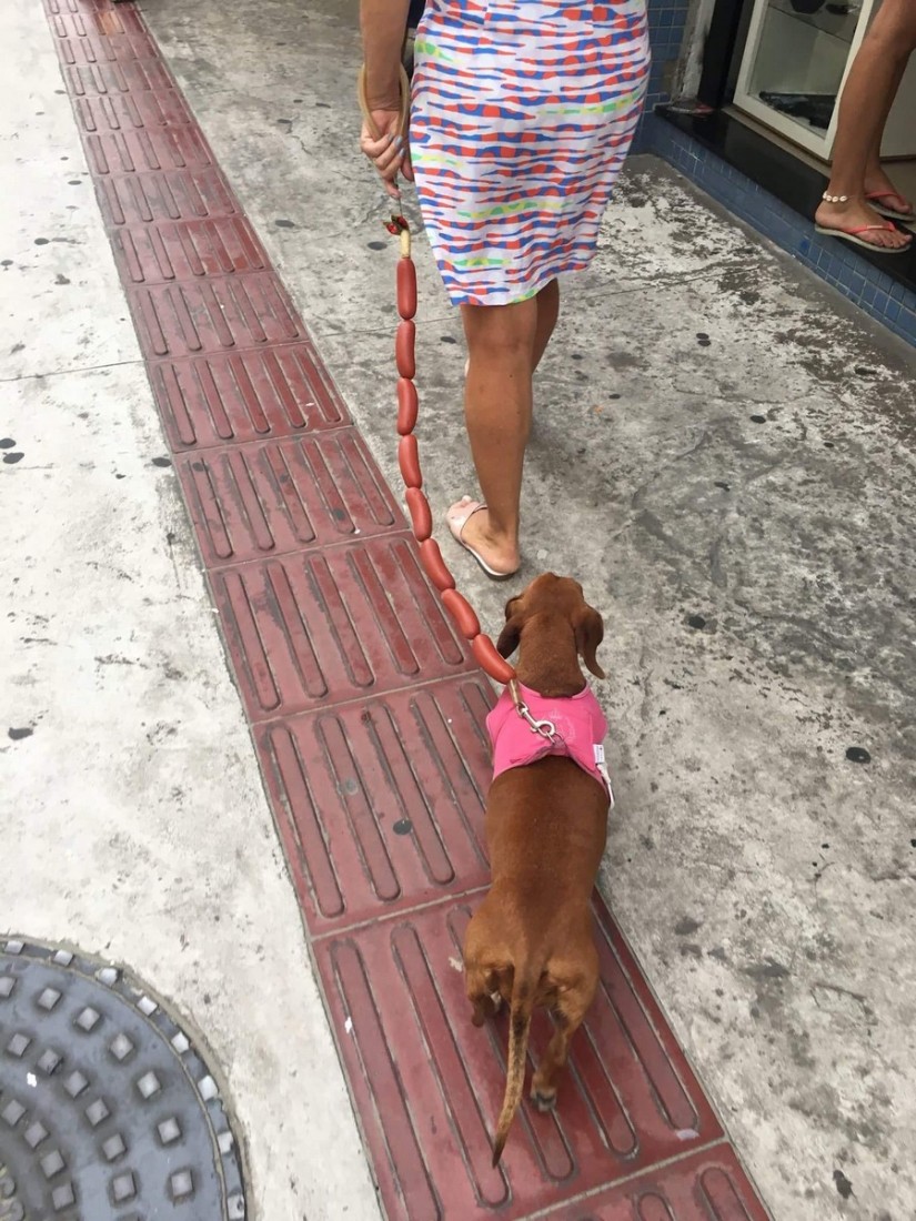 �������, ���������� � �������� ����