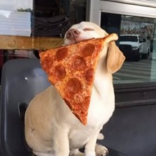 �������, ���������� � �������� ����