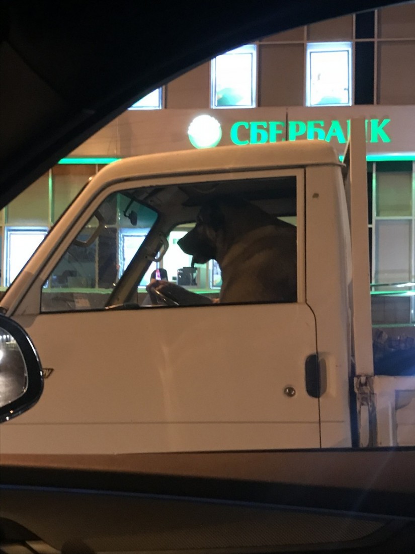 �������, ���������� � �������� ����