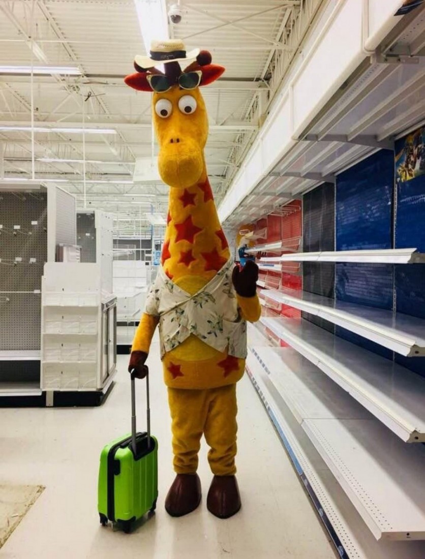 �������, ���������� � �������� ����