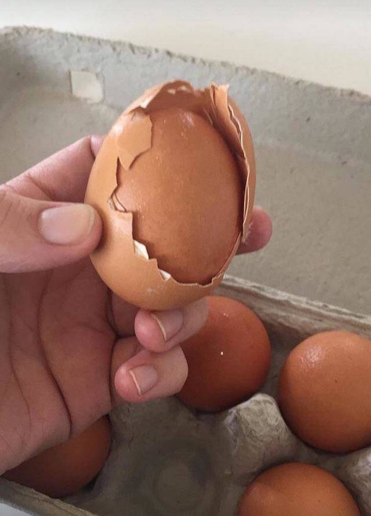 �������, ���������� � �������� ����