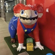 �������, ���������� � �������� ����