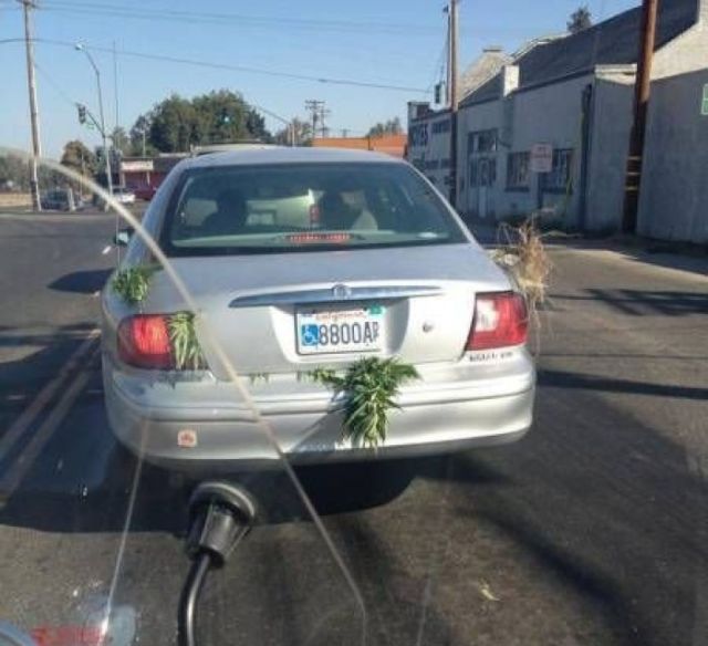 �������, ���������� � �������� ����