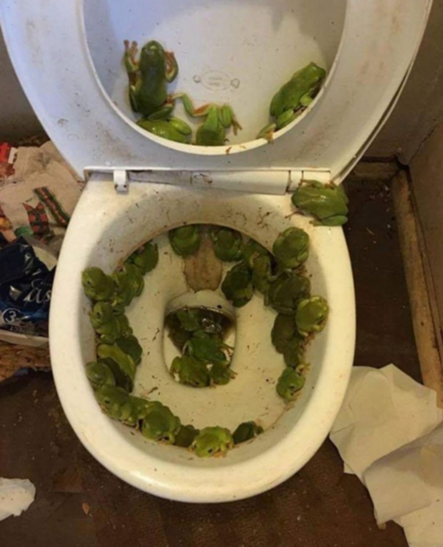 �������, ���������� � �������� ����