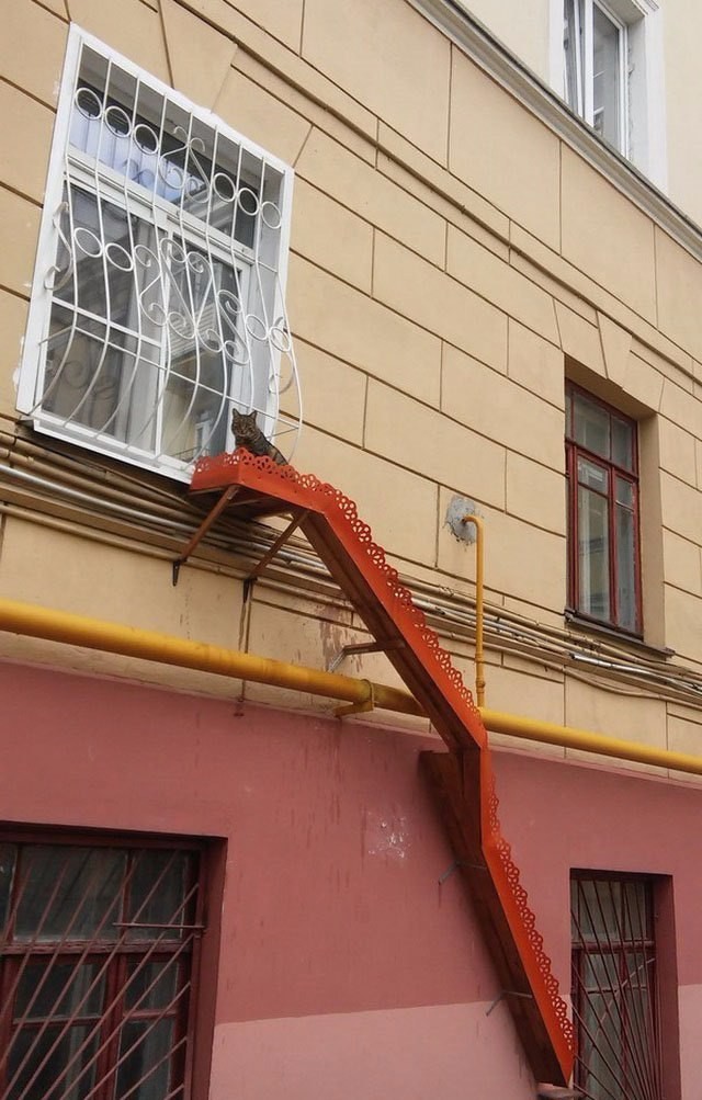 �������, ���������� � �������� ����