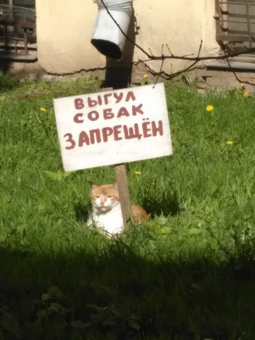 �������, ���������� � �������� ����