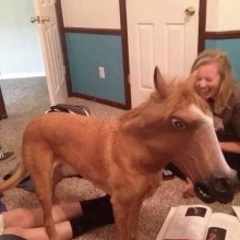 �������, ���������� � �������� ����