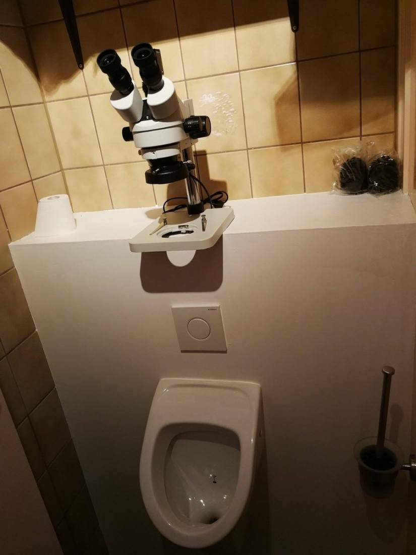 �������, ���������� � �������� ����
