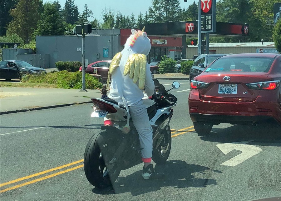 �������, ���������� � �������� ����