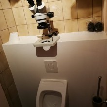 �������, ���������� � �������� ����
