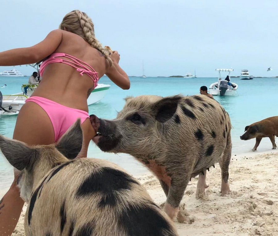 �������, ���������� � �������� ����