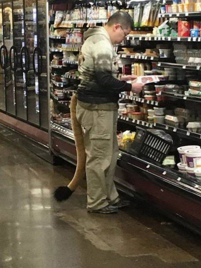 �������, ���������� � �������� ����