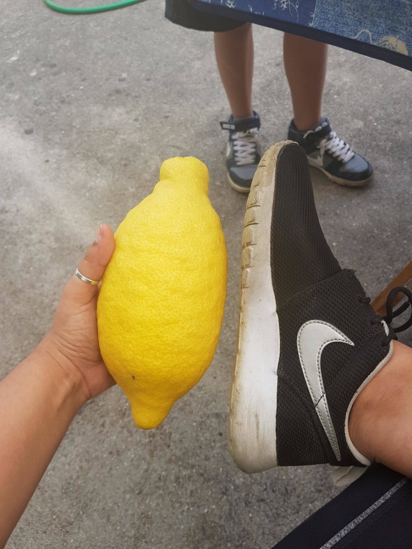 �������, ���������� � �������� ����