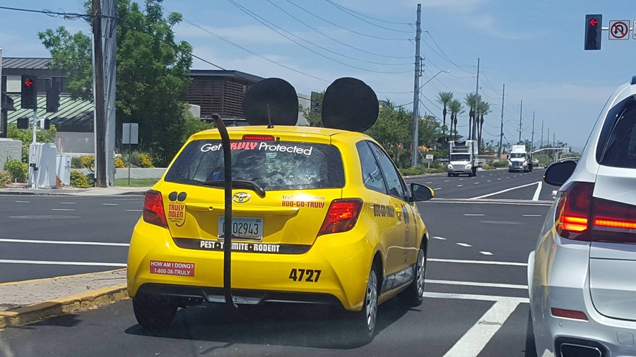 �������, ���������� � �������� ����