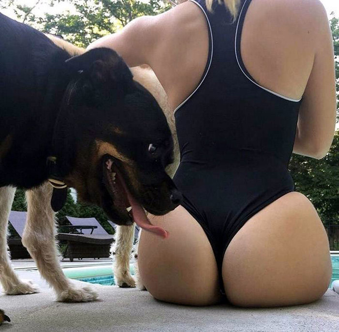 �������, ���������� � �������� ����